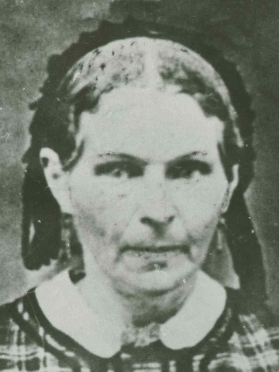 Lydia Goldthwaite (1812 - 1884) Profile